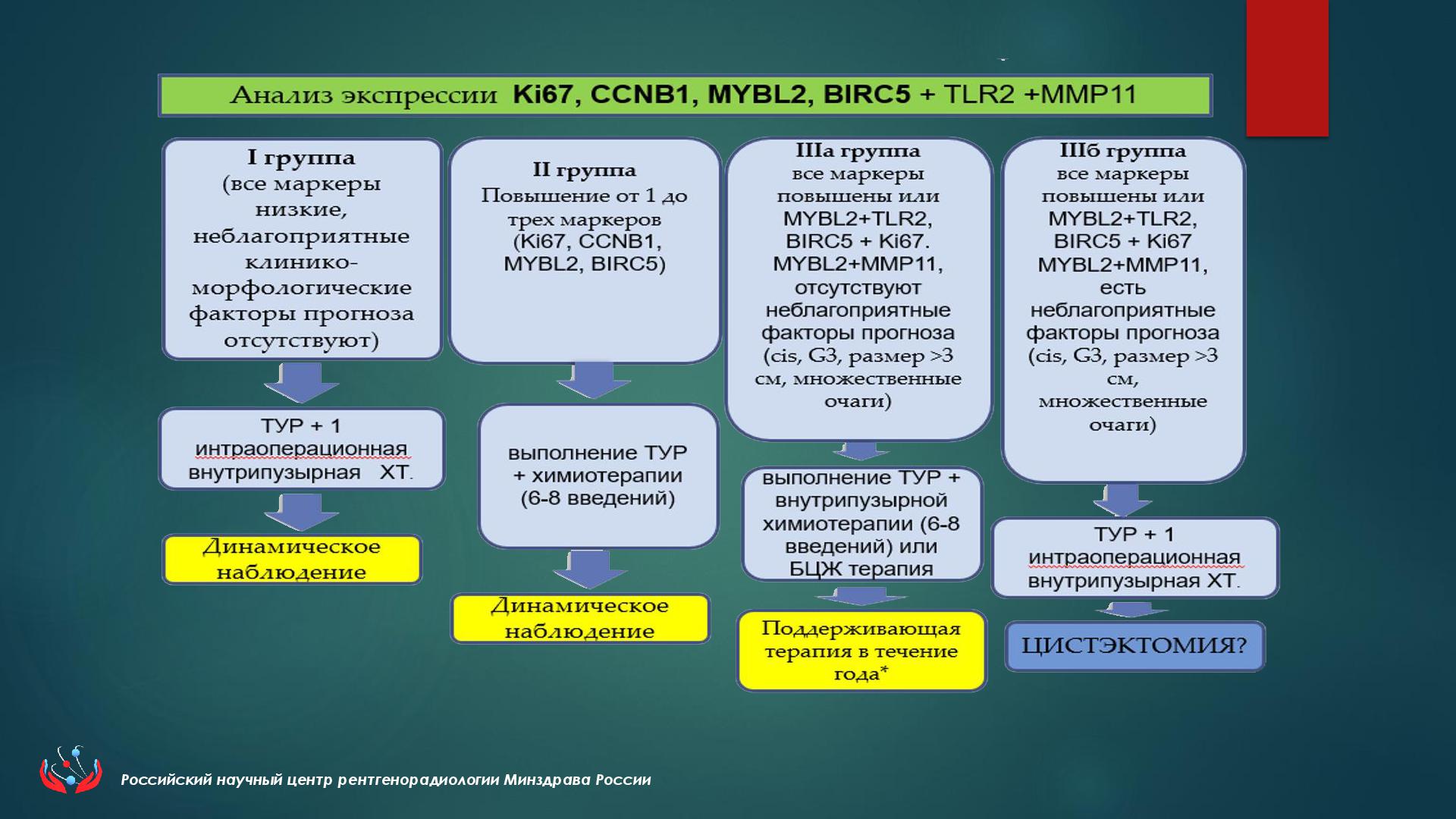 Конференции